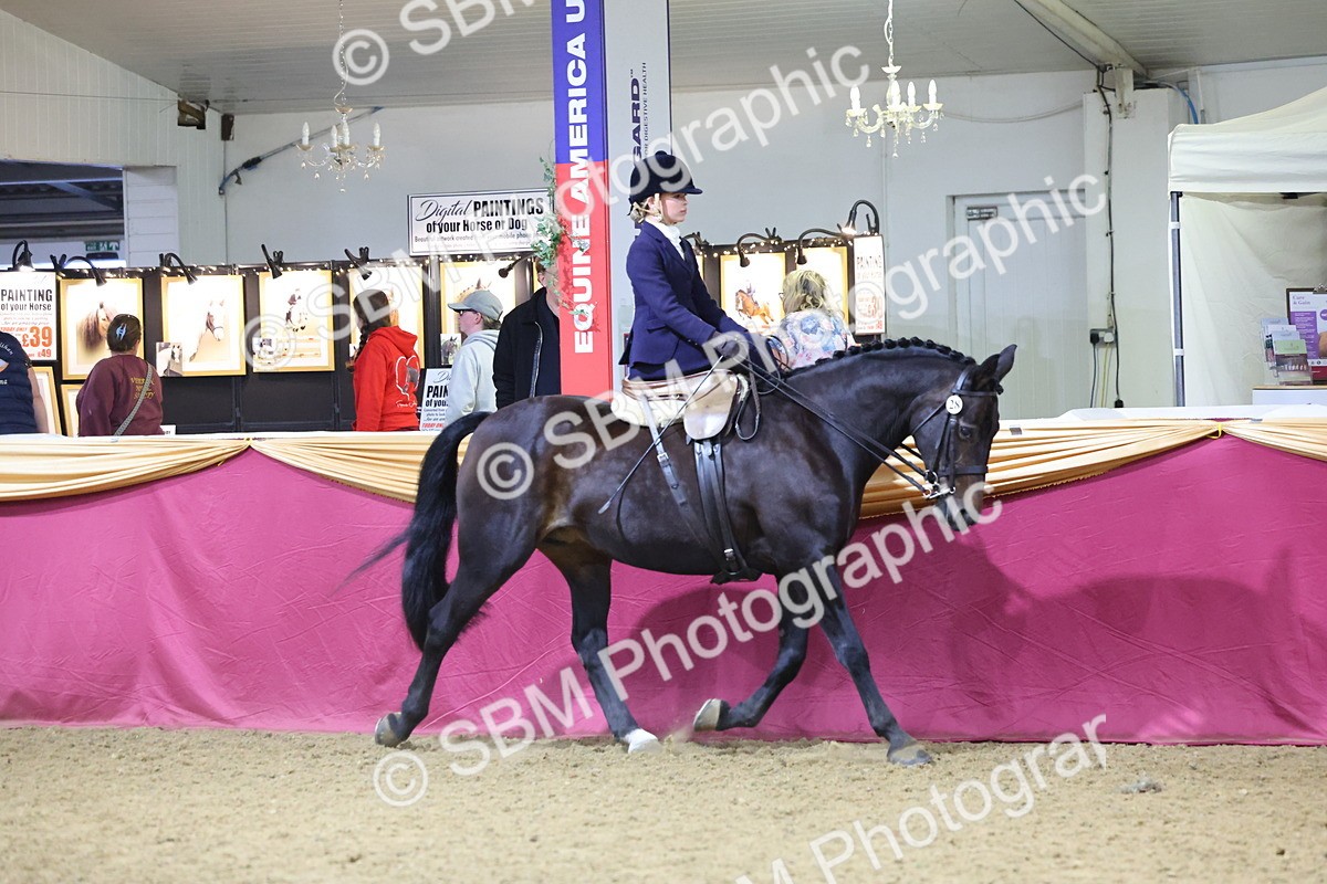 SBM_19298 - Class K Equitation Champ