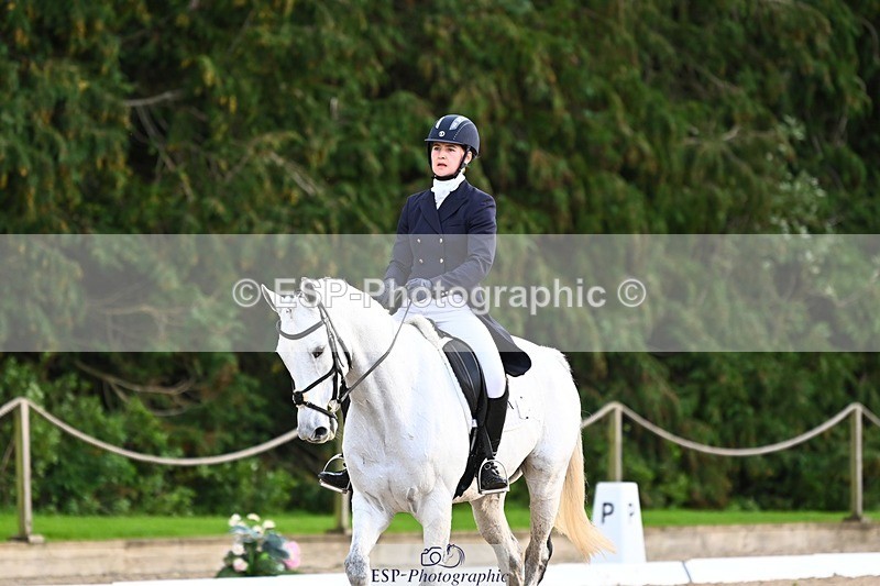 231021-155811-20980 - 262-GOOD.BOY.ALEX-Tara.Jefferies-DR