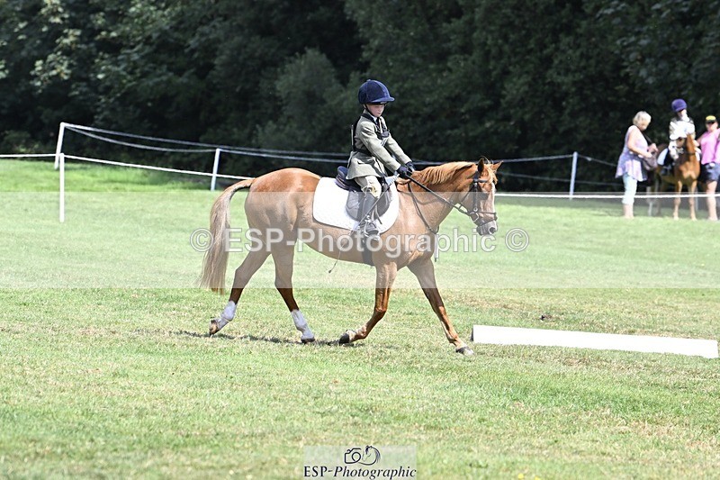 250822A-121355-22637 - DR 11.00 to 12.00