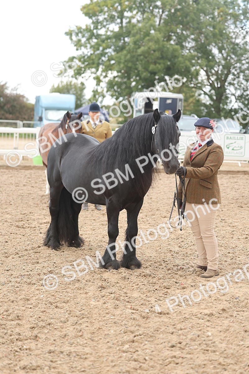 SBM_03240 - Class 16 - IH M&M Wildcard