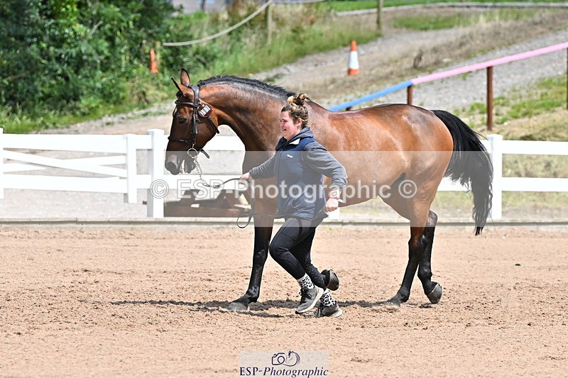 240718A-105306-01561 - Trot Up 1pm to 2pm