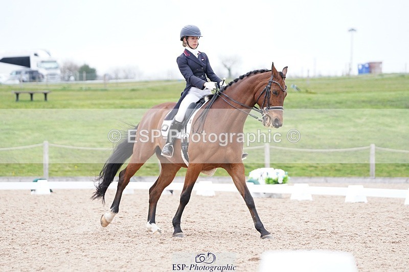 250403-161824-03278 - 028-Elizabeth.Allen-Heraldik