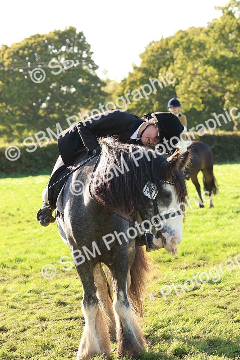 SBM_52657 - S13 - Pony Club Pony