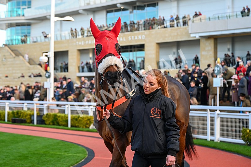 141224-Race 3-Autumn Return-0547 - Race 3