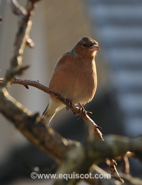  - Wildlife & Landscape