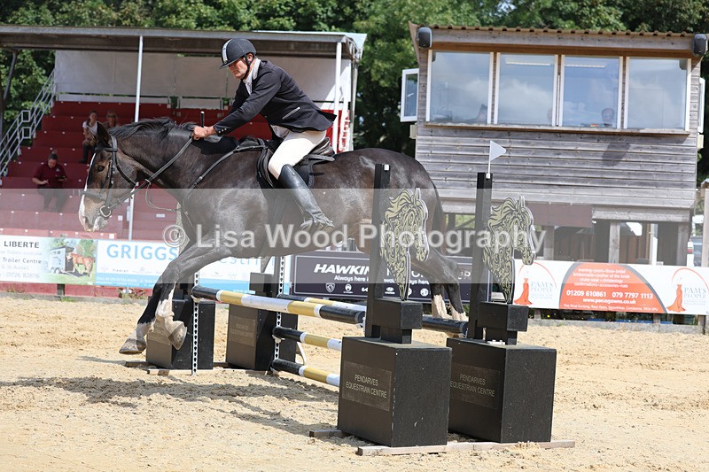 3E7A3634 - Class 4: Senior British Novice/90cm open