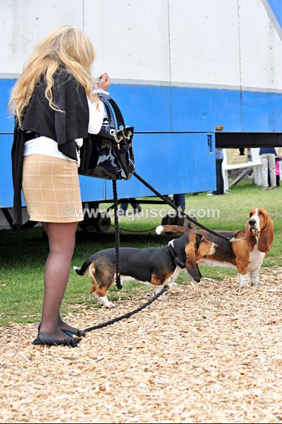 EQUISCOT 9366 - A WEE PEEK AT RHS 2013
