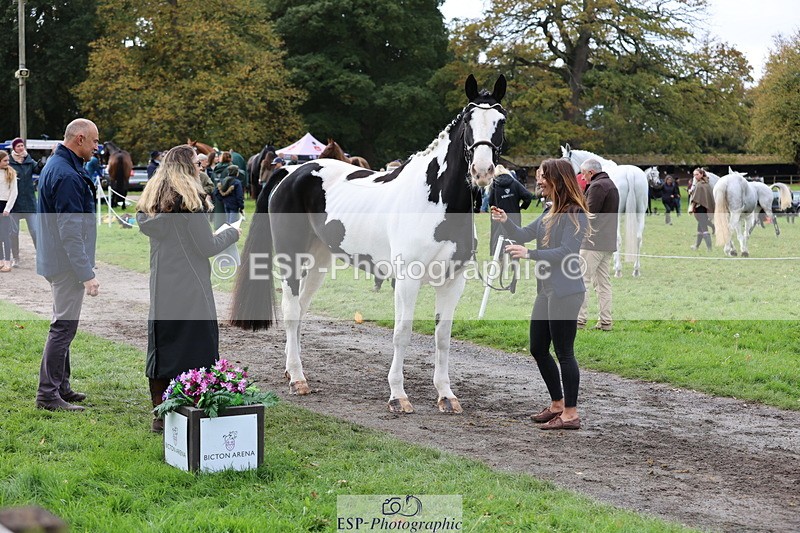 251026A-113954-25603 - F-457-Kayli.Goddard