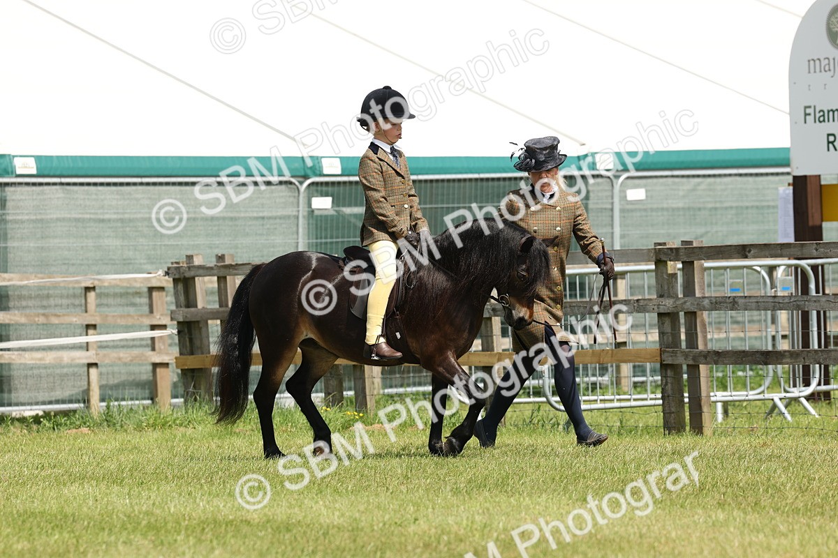 SBM_05198 - Class 24-25 - Mountain & Moorland In Hand Lead Rein and First Ridden