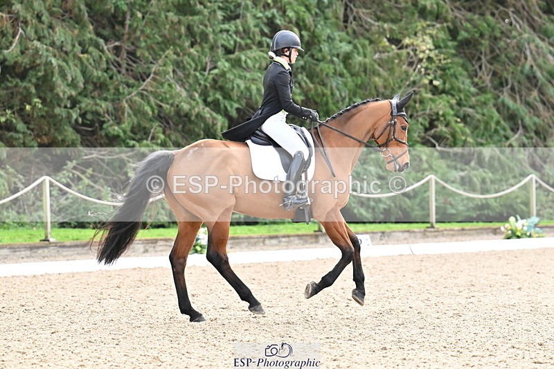 251023A-111552-01198 - C-227-Tarka.Abraham