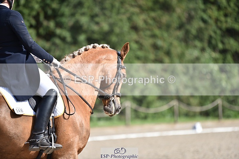 240605-164752-01453 - Cls 11-13 FEI PSG and Inter