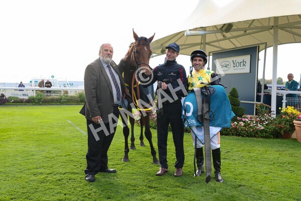 yr07102022r5-37 - Race 5 4.25pm Copper Knight Winningmost Horse Stakes