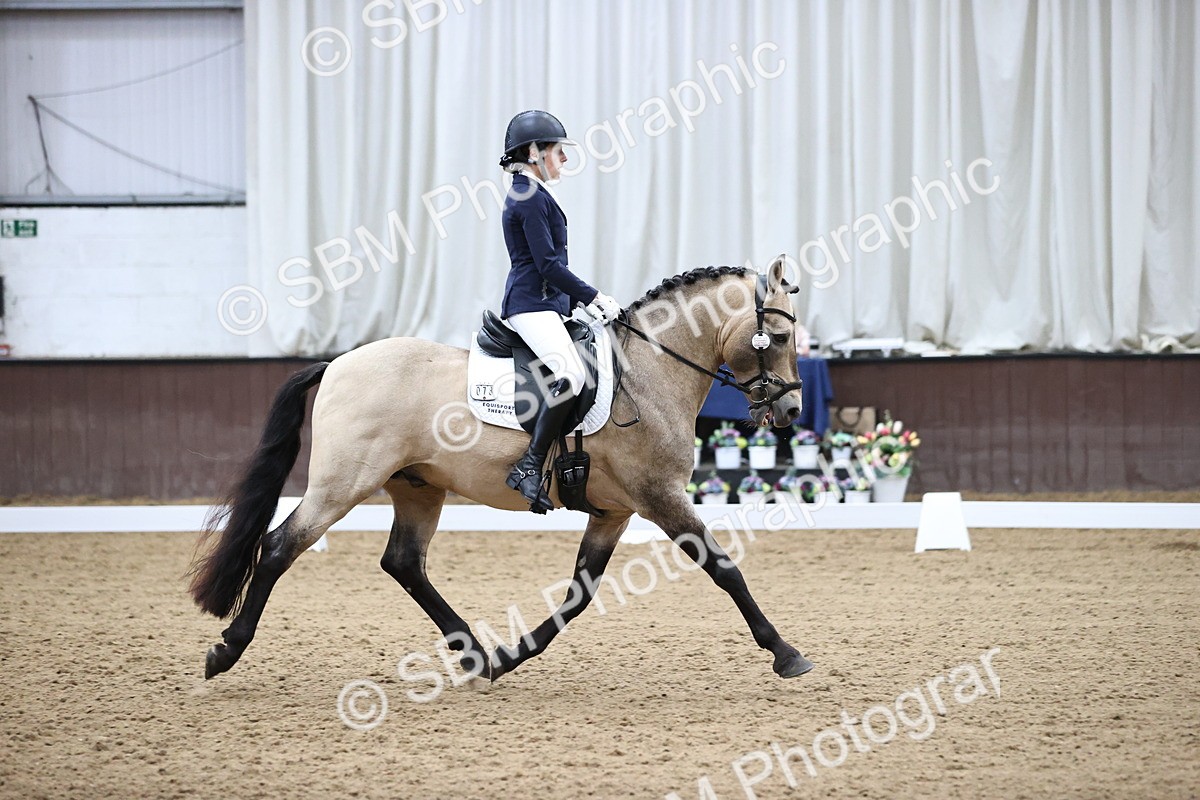 SBM_018908 - Class 21 - Medium 73 - 9.00-10.00