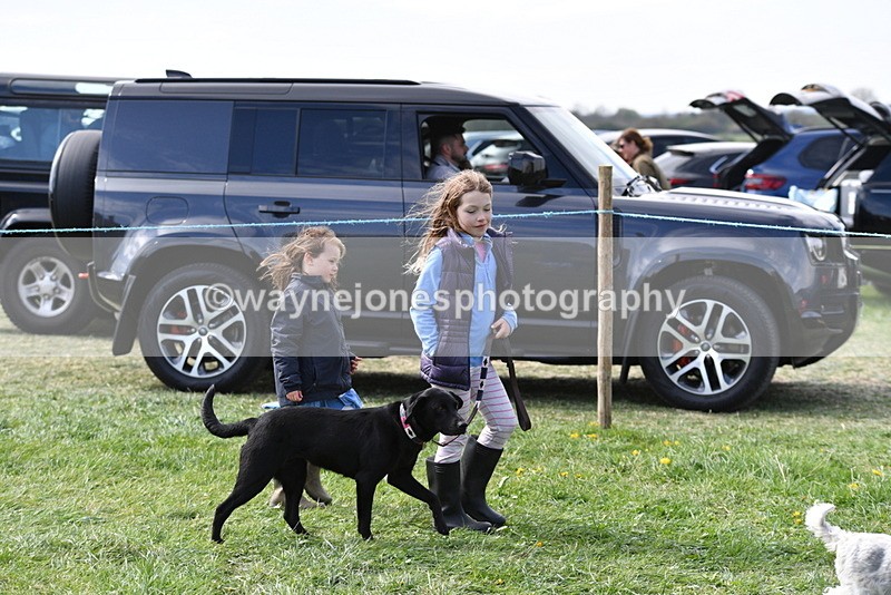 WJ5_0716 - Best in Show Championship