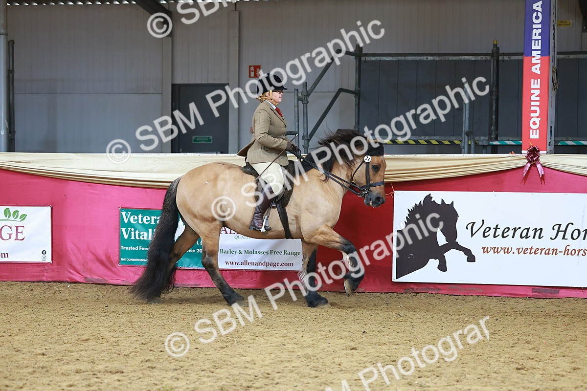SBM_09403 - Class 102 - HOYS Veteran Qualifier - Ridden Veteran