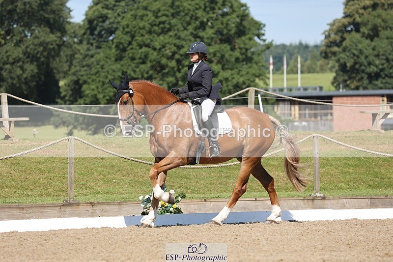 240719-103950-00763 - 223-Deborah_Randall-Sandy's_Bertie