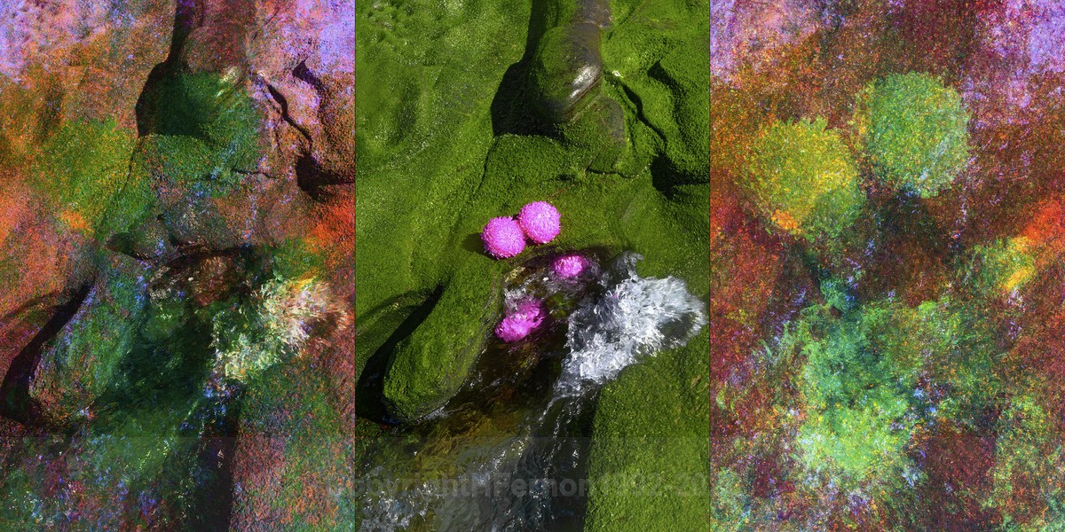 ENTROPY TRIPTYCH Xlll-XV - ENTROPY 2023