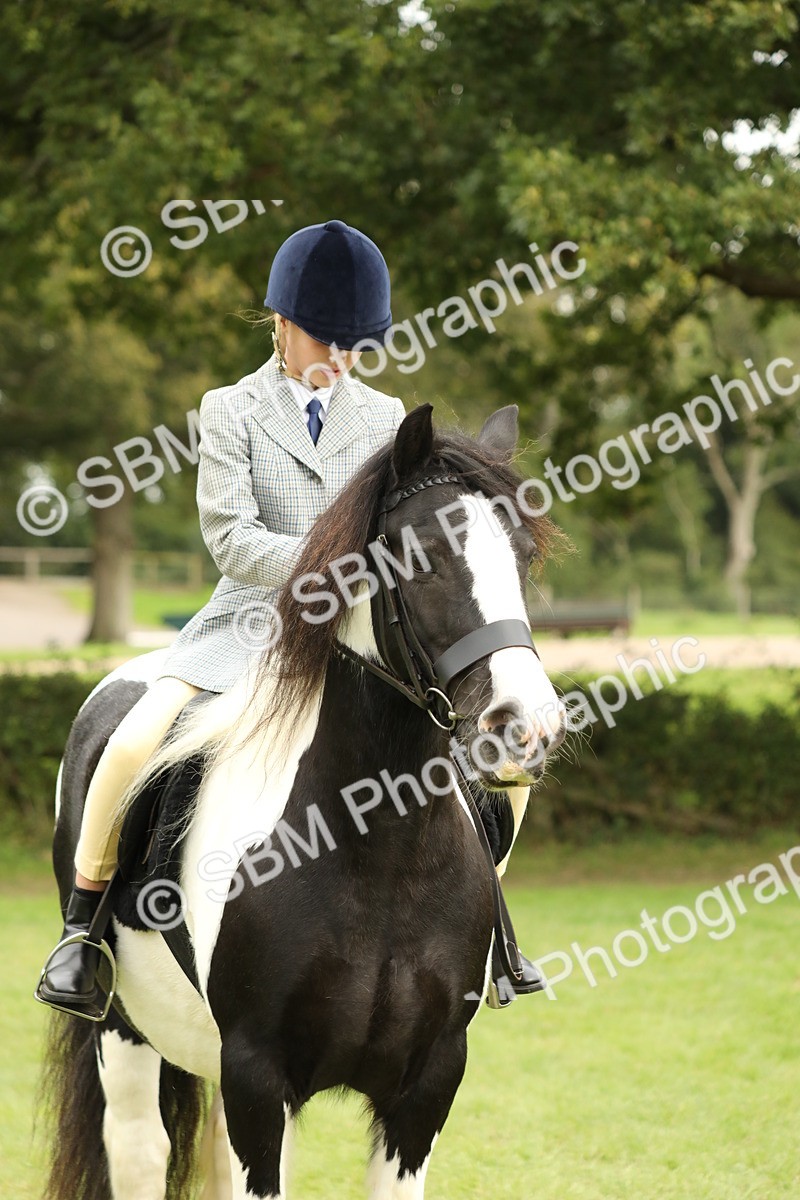 SBM_71672 - S41 - Ridden Equitation (Best Rider)