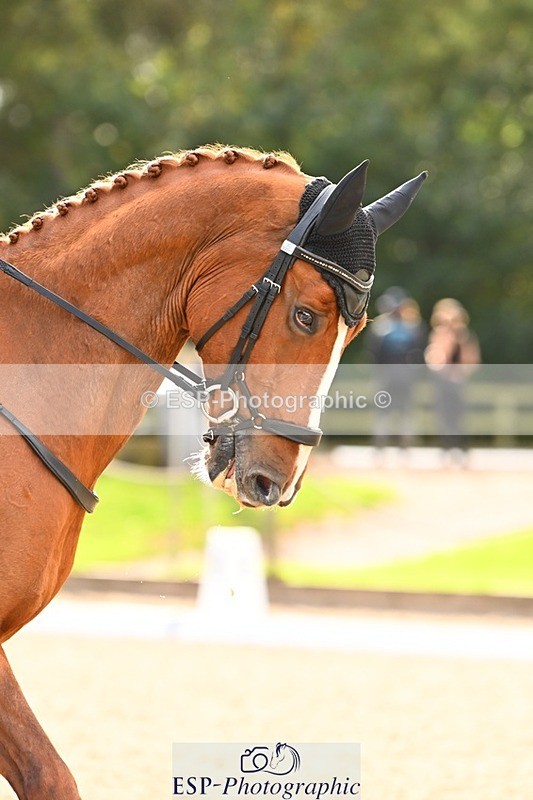 231020-145733-10046 - 311-DALOUBET.MANSOLEIN.Z-Kat.Raybould-DR