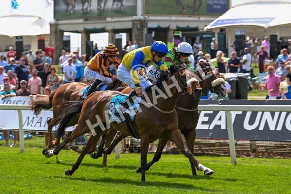 130625-Race 1-Feel The Need-8371 - Race 1 1.50pm Andy Thornton Hospitality Furniture Apprentice Handicap