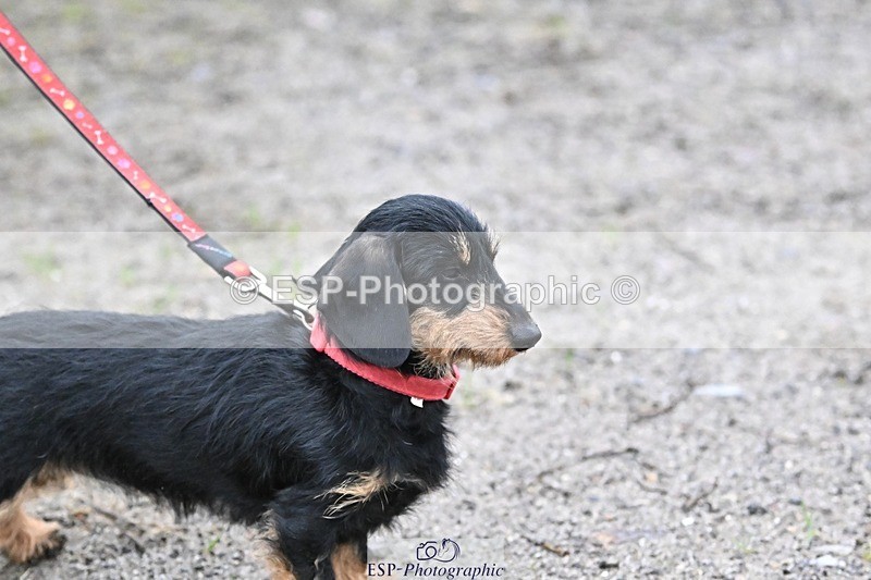 241206-144438-01152 - Naomi