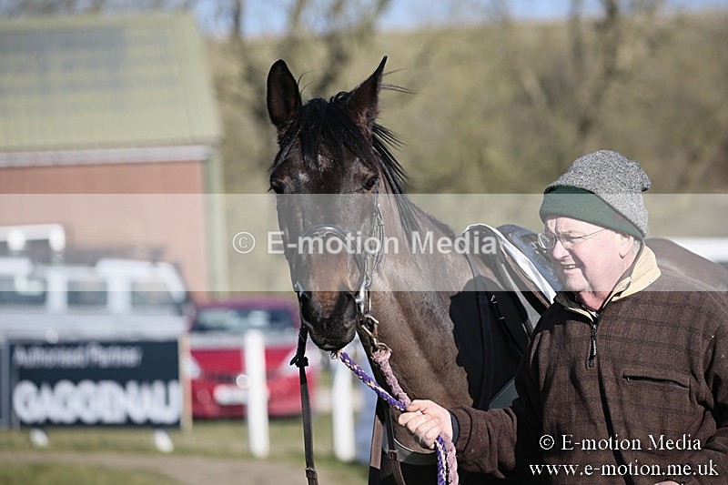 PtP 240218 437 - Vine & Craven Hunt Point-to-Point Barbury racecourse 24/02/18