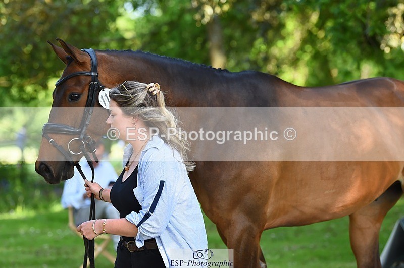 230524-164750-01093 - 115-RNH_ULTIMATE-Harriet_Wright-WEDTrotUp+DR