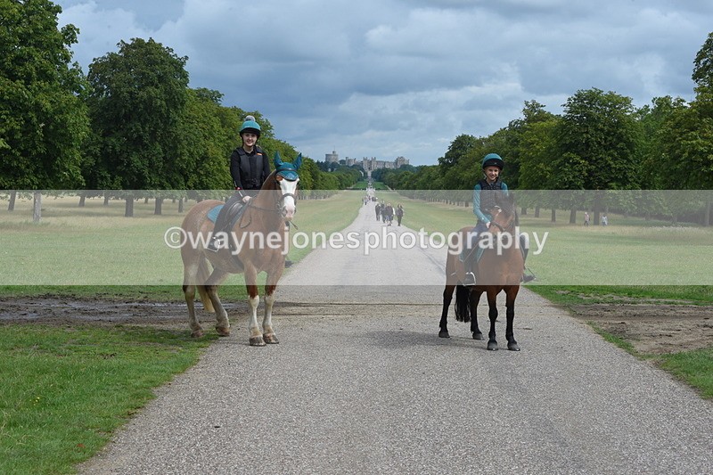 TT3_9164 - Time at Crossing 09:22 to 11:26