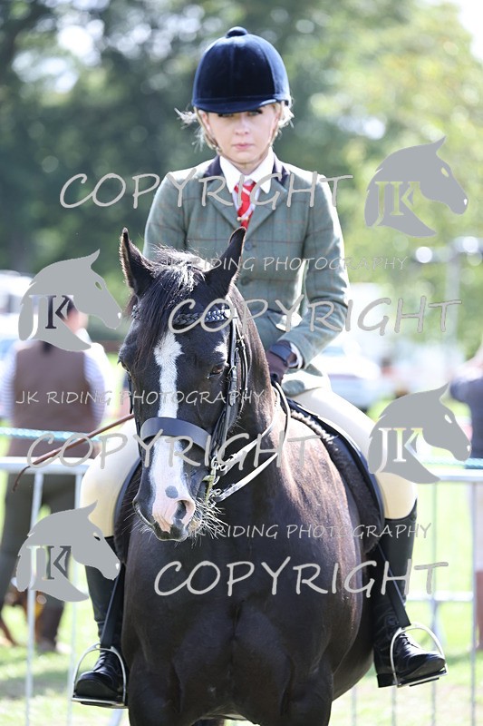 APP_3699 - Class 12 M&M ridden