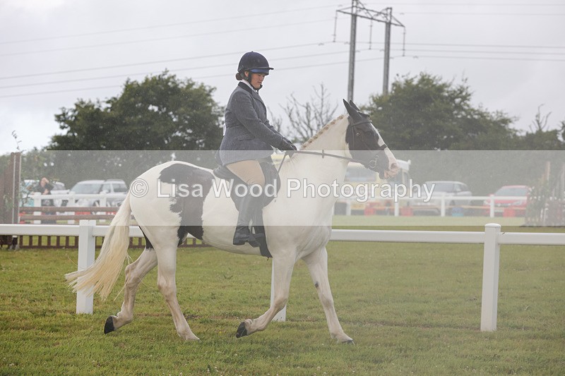 1X9A2988 - Class 26: Ridden Plaited Coloured Pony