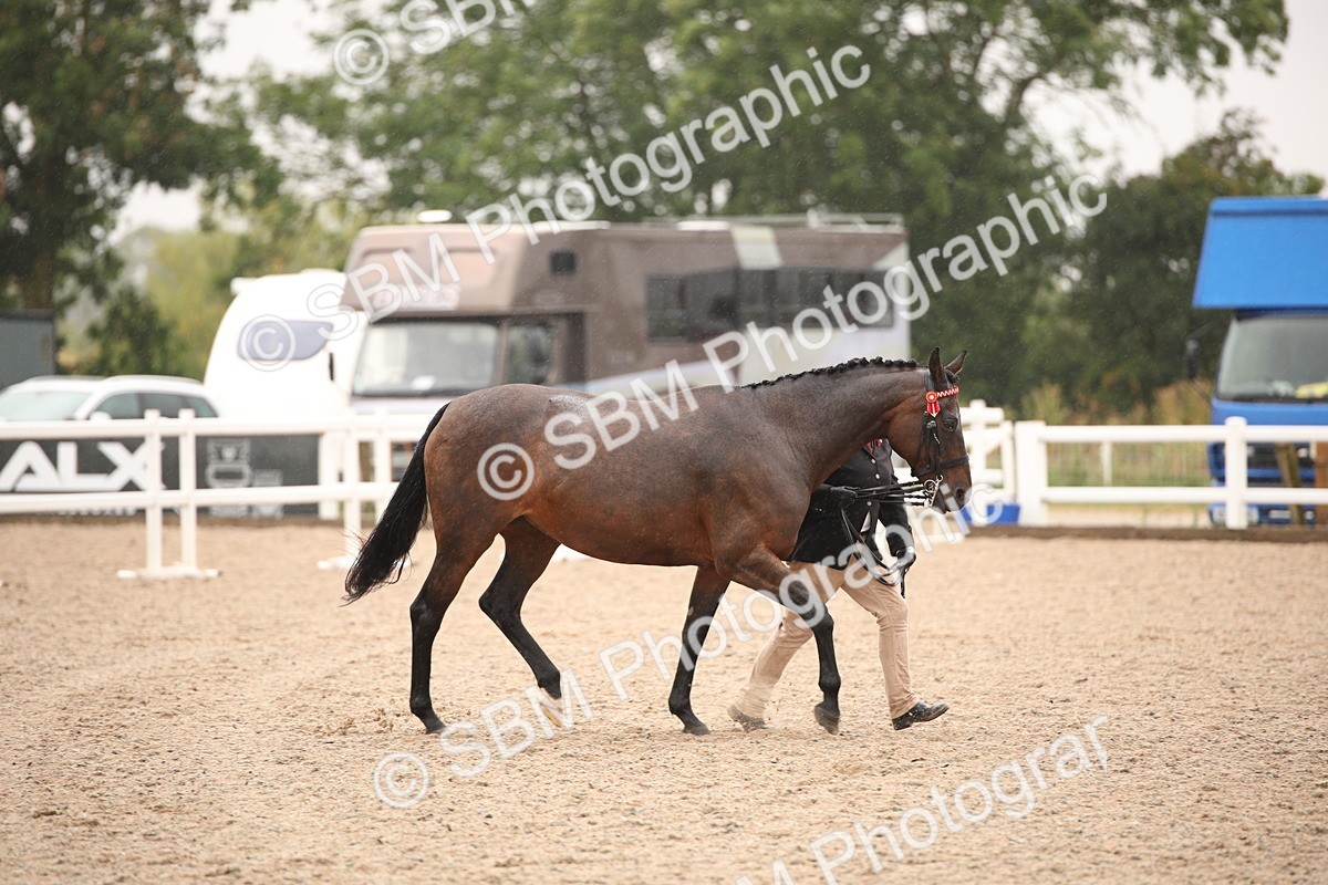 SBM_20679 - Class 705 - IH  Combination 65+