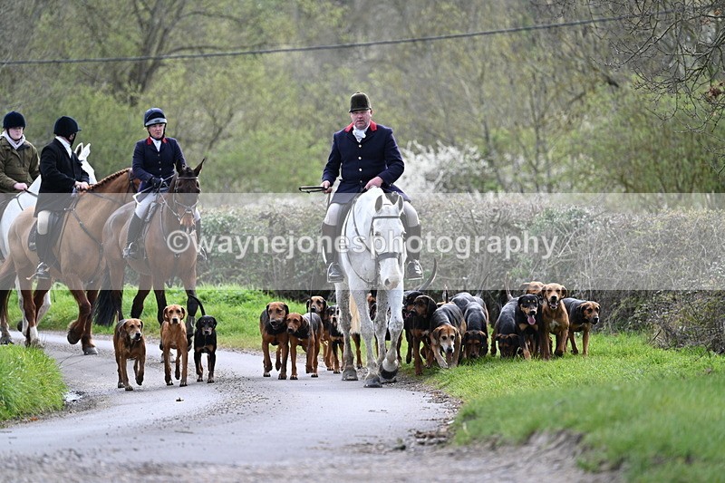 WJ7_9759 - Walk Home