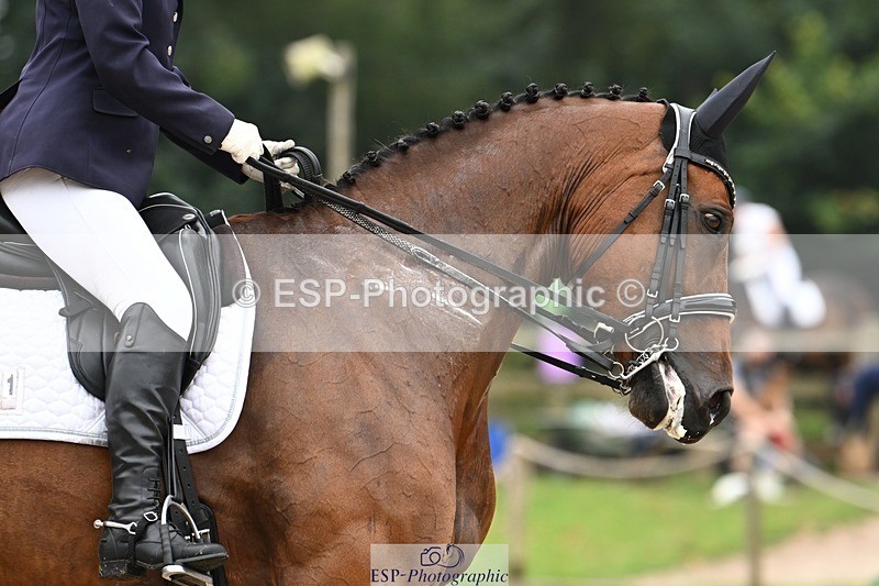 240811-120128-05679 - 241-Kathryn.Little-Quietly.Does.It