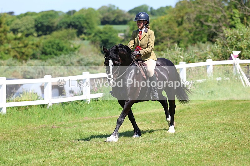3E7A6757 - Working Hunter Pony Championship