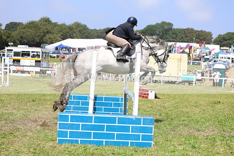 3E7A2923 - Class 7: Senior British Novice/90cm open
