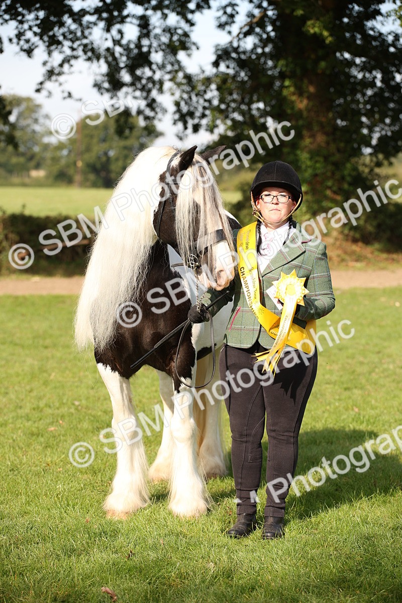 SBM_61214 - S54 - Show Cob In Hand