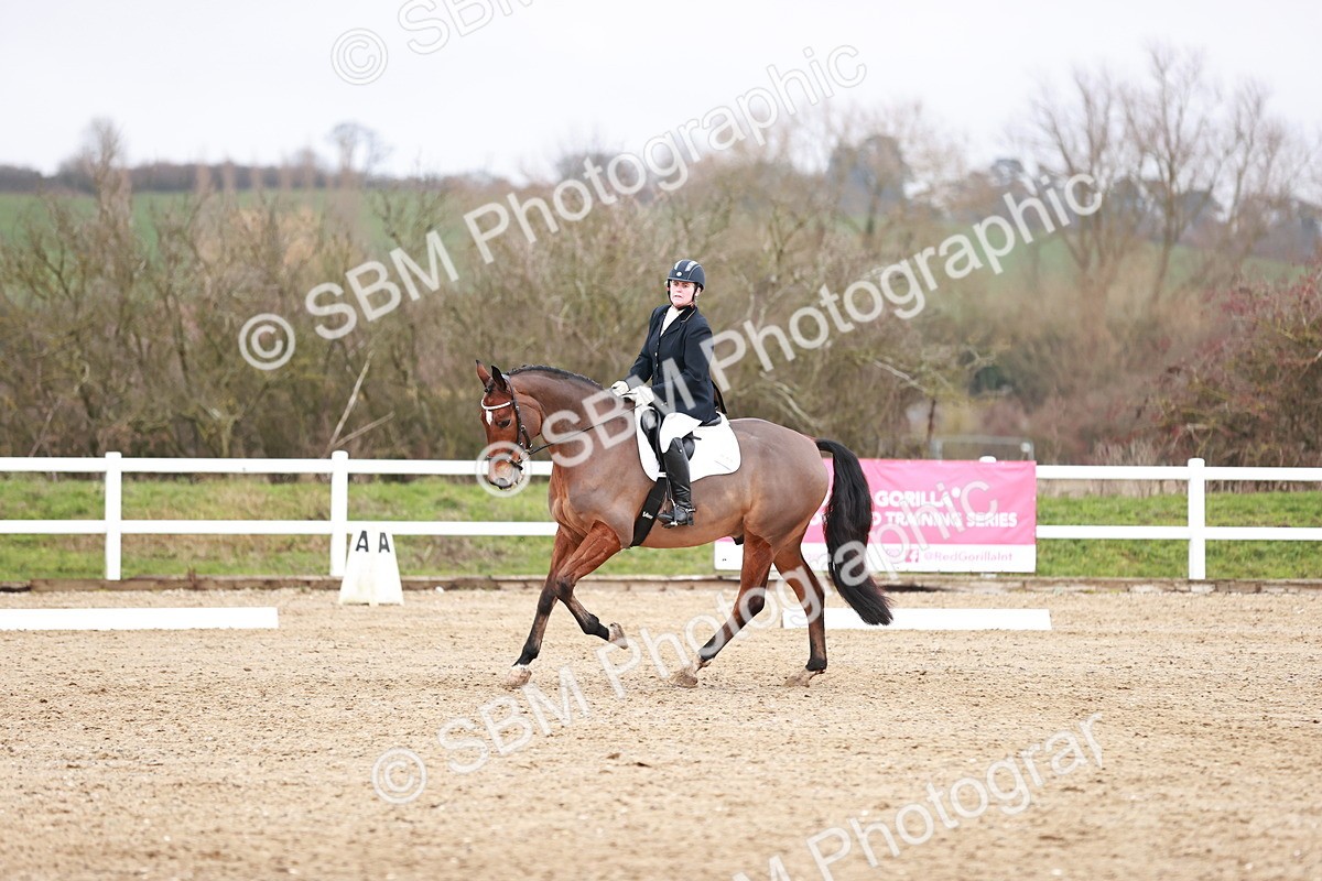 SBM_005406 - Elementary 1