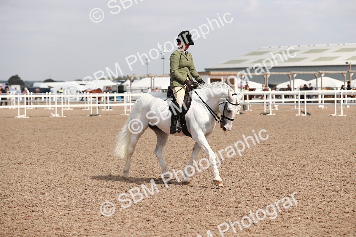 SBM_14908 - Class 212 Ridden Hunter - Small