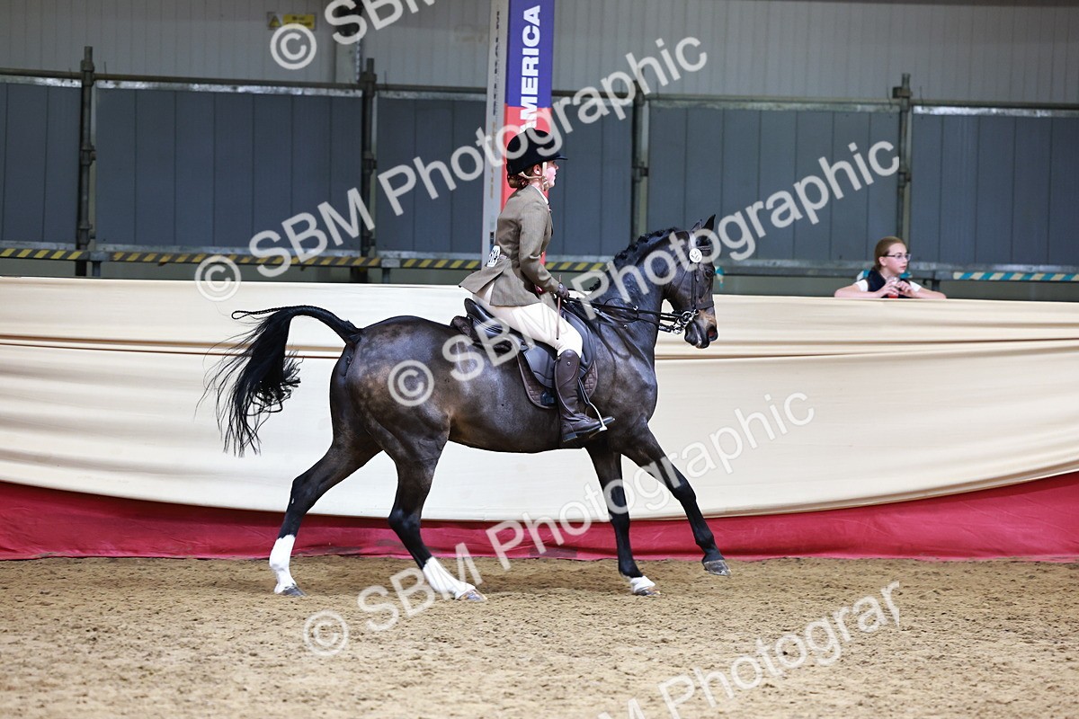 SBM_23524 - Class 904 - Supreme Final - Ridden Diamond