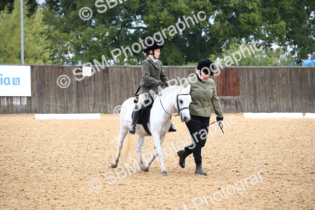 SBM_34540 - D26 - Starters Lead Rein