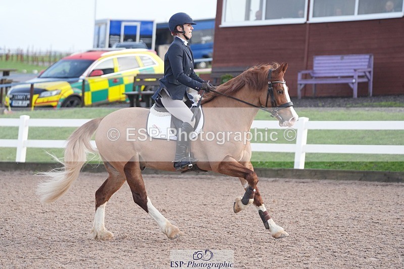 260201-095938-02942 - Cls 16 British Novice and 90cm