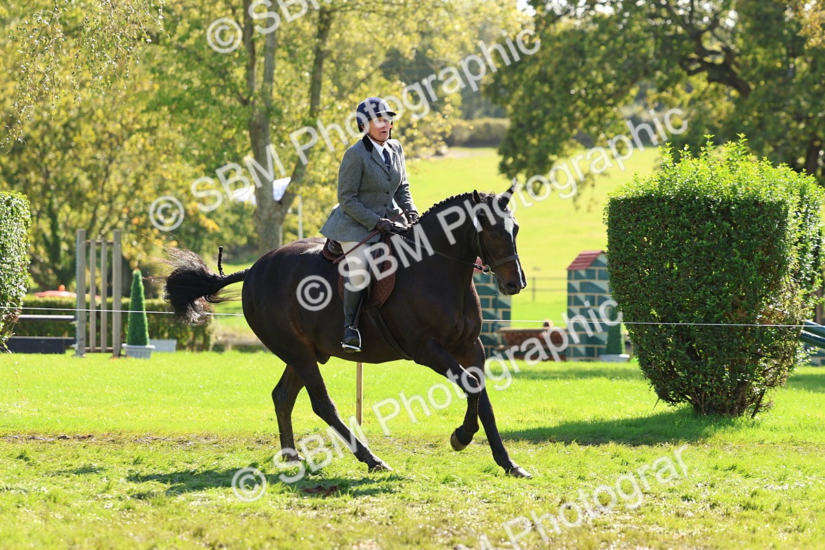 SBM_45258 - S27 - Young Veteran Ridden