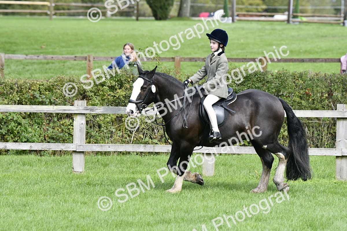 SBM_41558 - S32 - Mountain & Moorland Working Hunter Pony