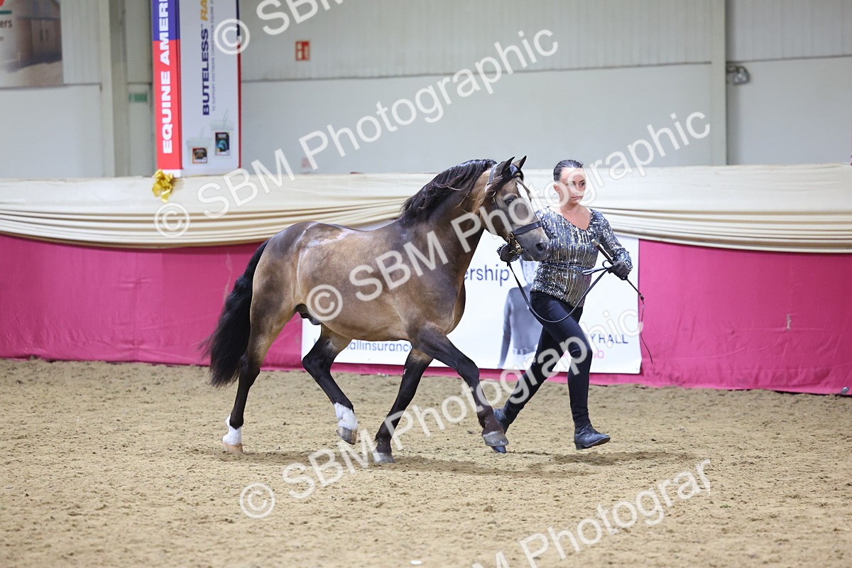 SBM_18698 - Class D IH Pony Champ