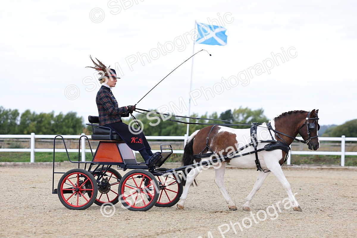 SBM_000251 - Class 2 - Exercise Vehicle 13.2hh & Under