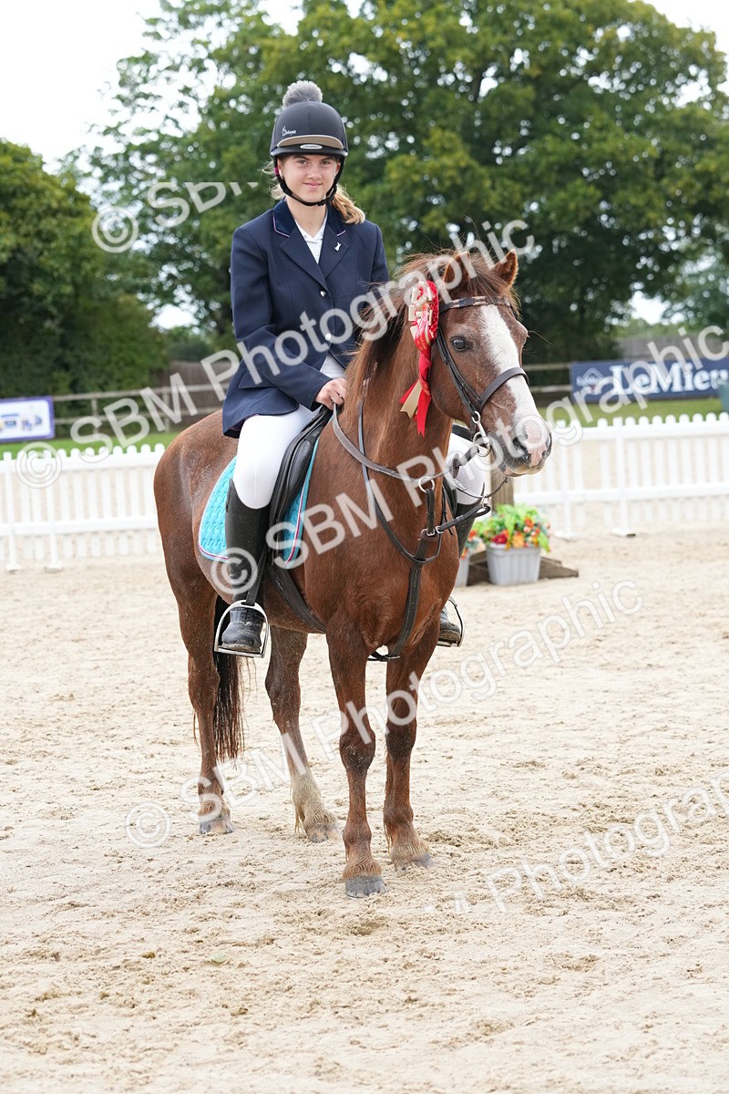 SBM_40876 - Supreme Championship Pony 50-55cm