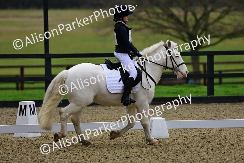 20260125-0577 - Class 9b - Walk Trot Unassisted