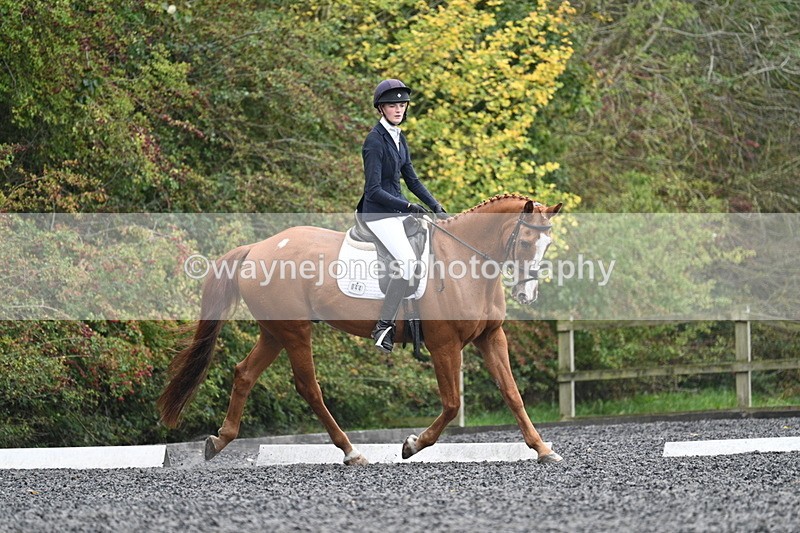 WJ7_6630 - Time 14:49 to 15:14