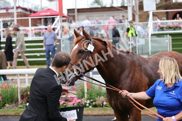 yr22072022r2-64 - Race 2 5.50pm eventmasters.co.uk Stakes