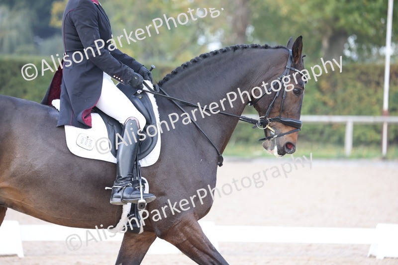 20251012-1005 - Class 12 - PSG